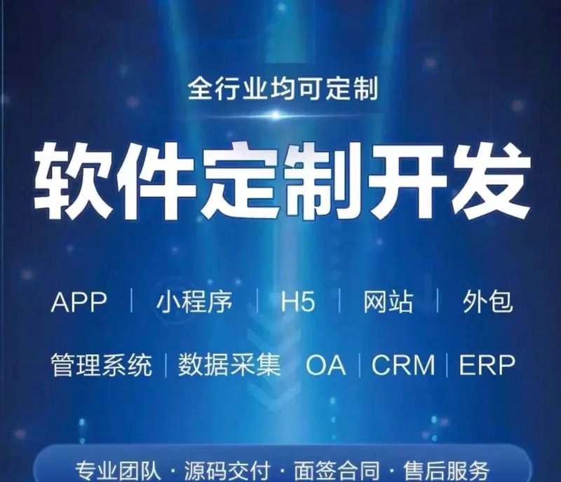 系统定制:企业转型的催化剂